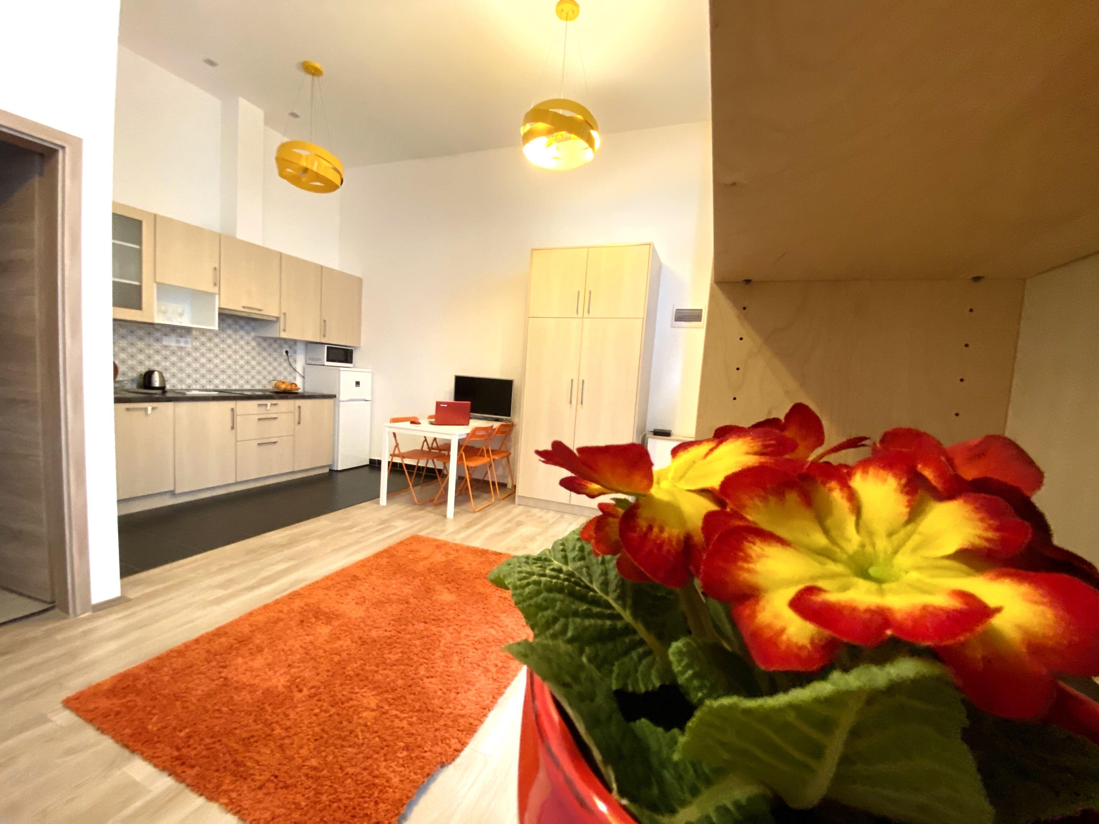 Gracia Apartment House — Foto 3